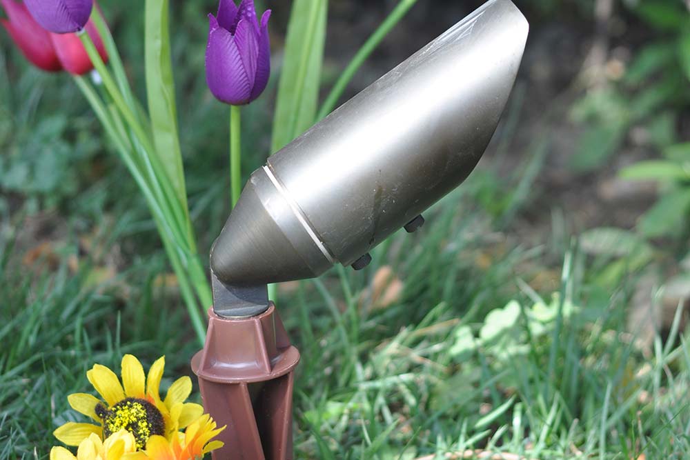 Featured image for “Spot light”