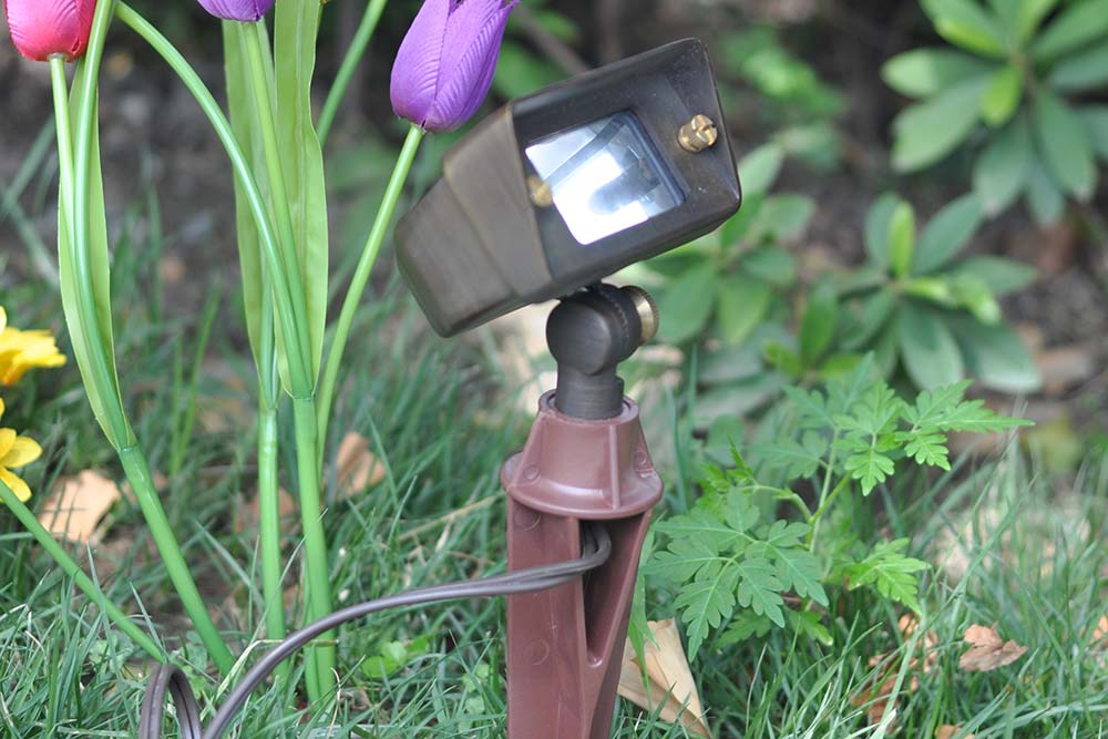 Featured image for “Small Flood”